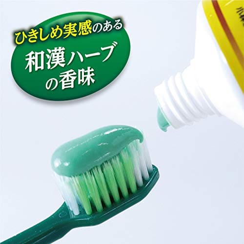 生葉EX 容量100G 小林製薬 歯磨き