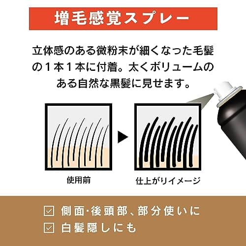 トップシェード　スピーディーヘアカバースプレーラージ　自然な黒色 ２５０g容量250g 柳屋本店