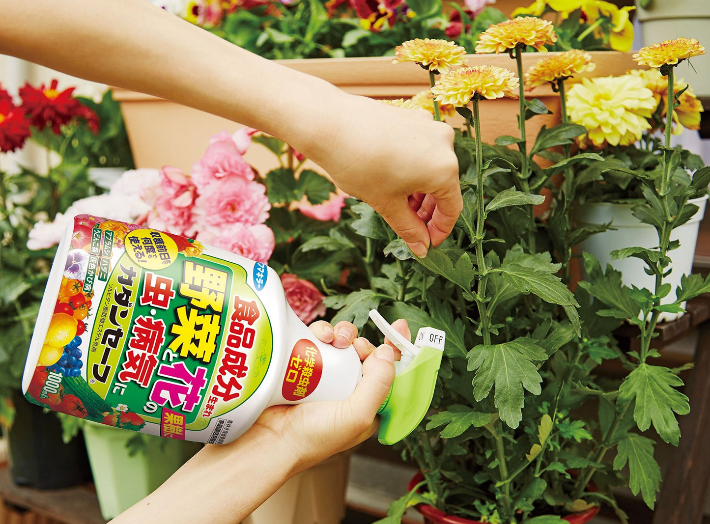 カダンセーフ　450ml 容量450ML フマキラー 園芸用品・殺虫剤