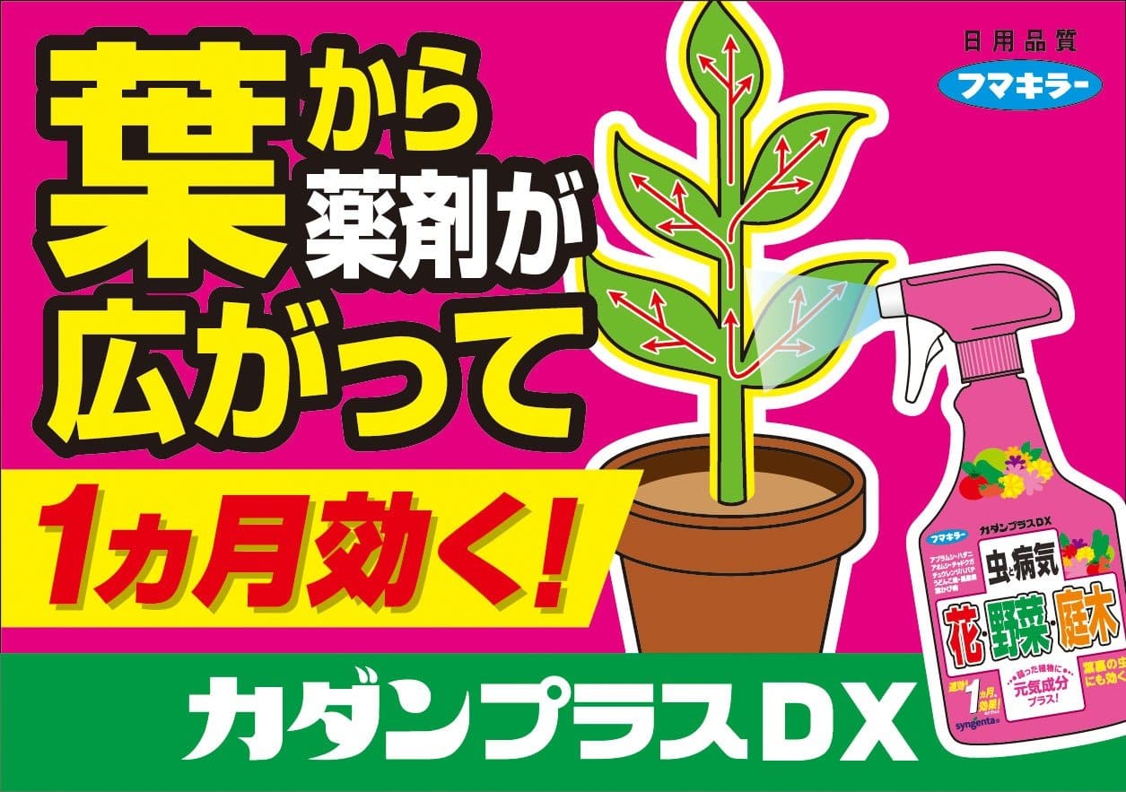 カダンプラスDX　450ml 容量450ML フマキラー 園芸用品・殺虫剤