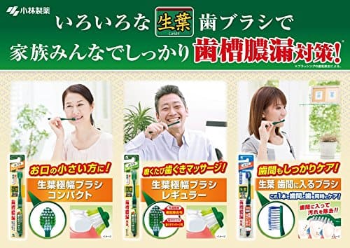 生葉極幅ブラシ　やわらかめ 容量1本 小林製薬 歯ブラシ
