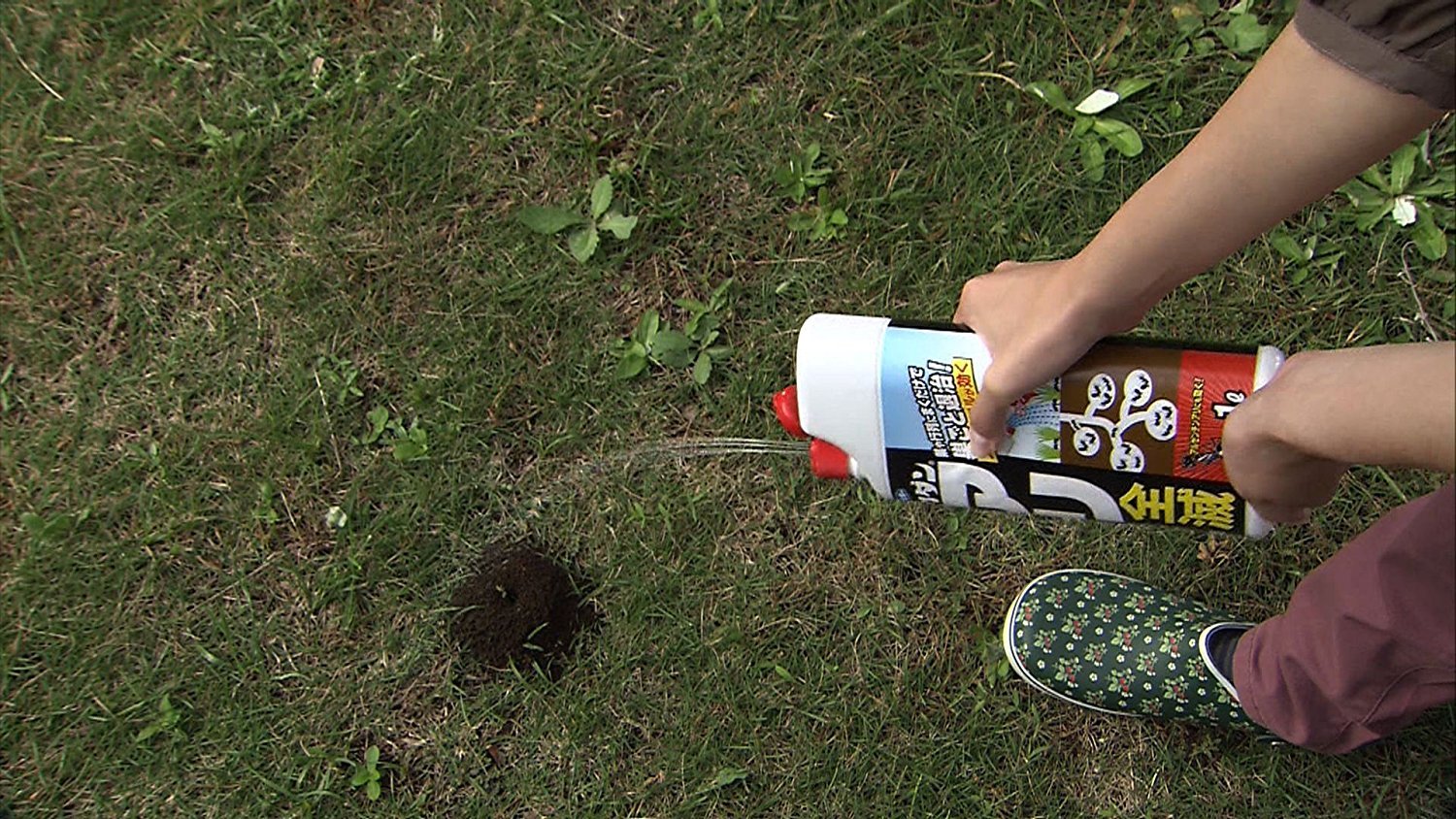 【まとめ買い】カダン　アリ全滅シャワー液１Ｌ 容量1L×15点セット フマキラー 殺虫剤・園芸