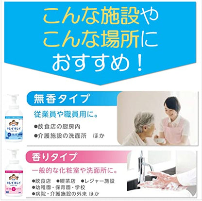 【まとめ買い】業務用キレイキレイ泡ハンドソープフルーツミックスの香り４Ｌ 容量4L×3点セット ハンドソープ