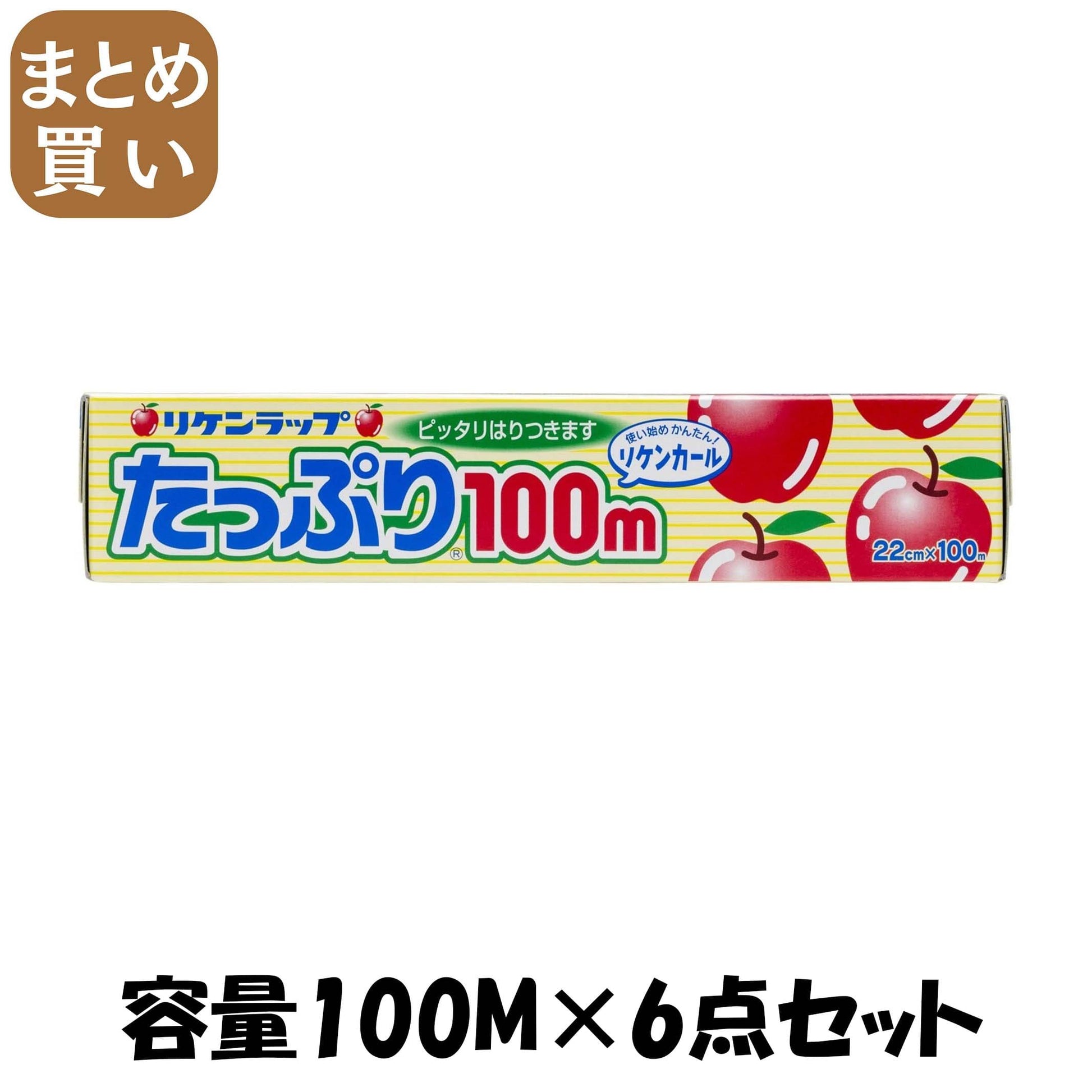 【まとめ買い】リケンたっぷりミニ２２＊１００Ｍ 容量100M×6点セット リケンファブロ