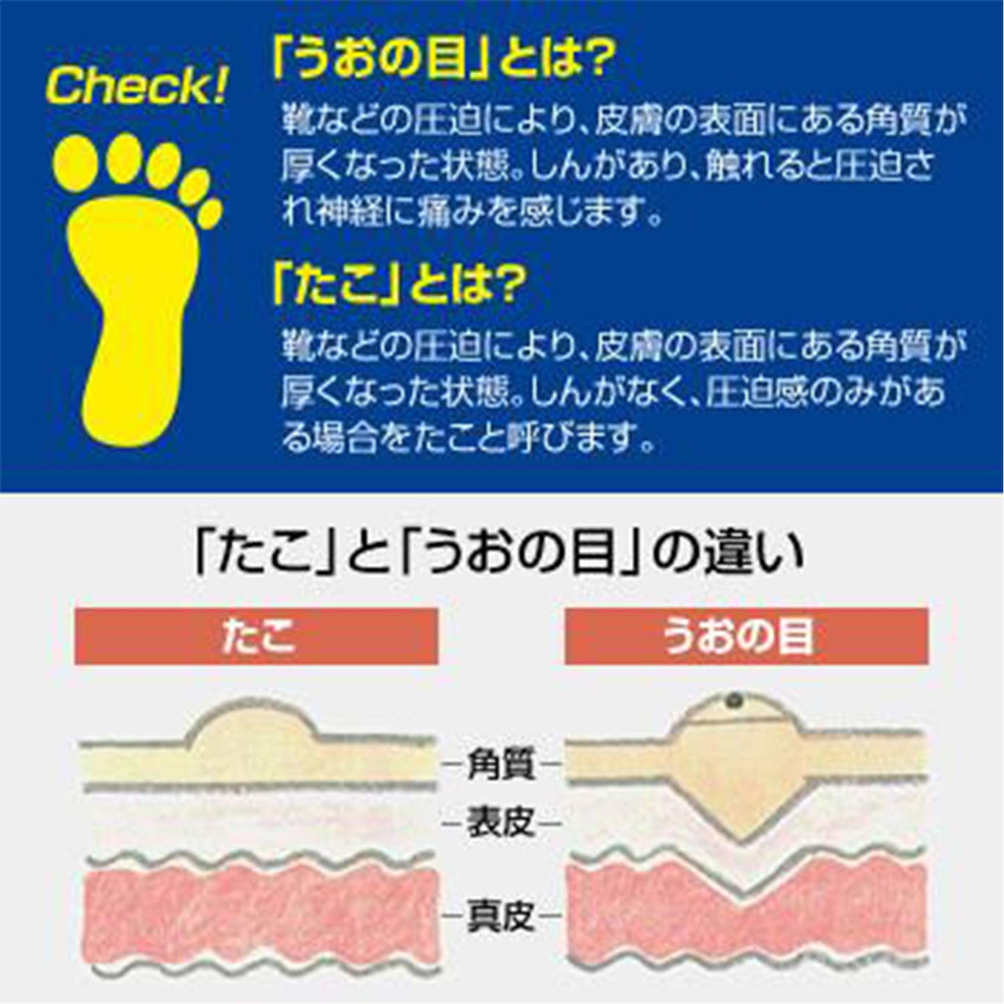 【まとめ買い】ドクター・ショール　底まめ保護パッド 容量4個×12点セット ショールズウェルネスカンパニー フットケア