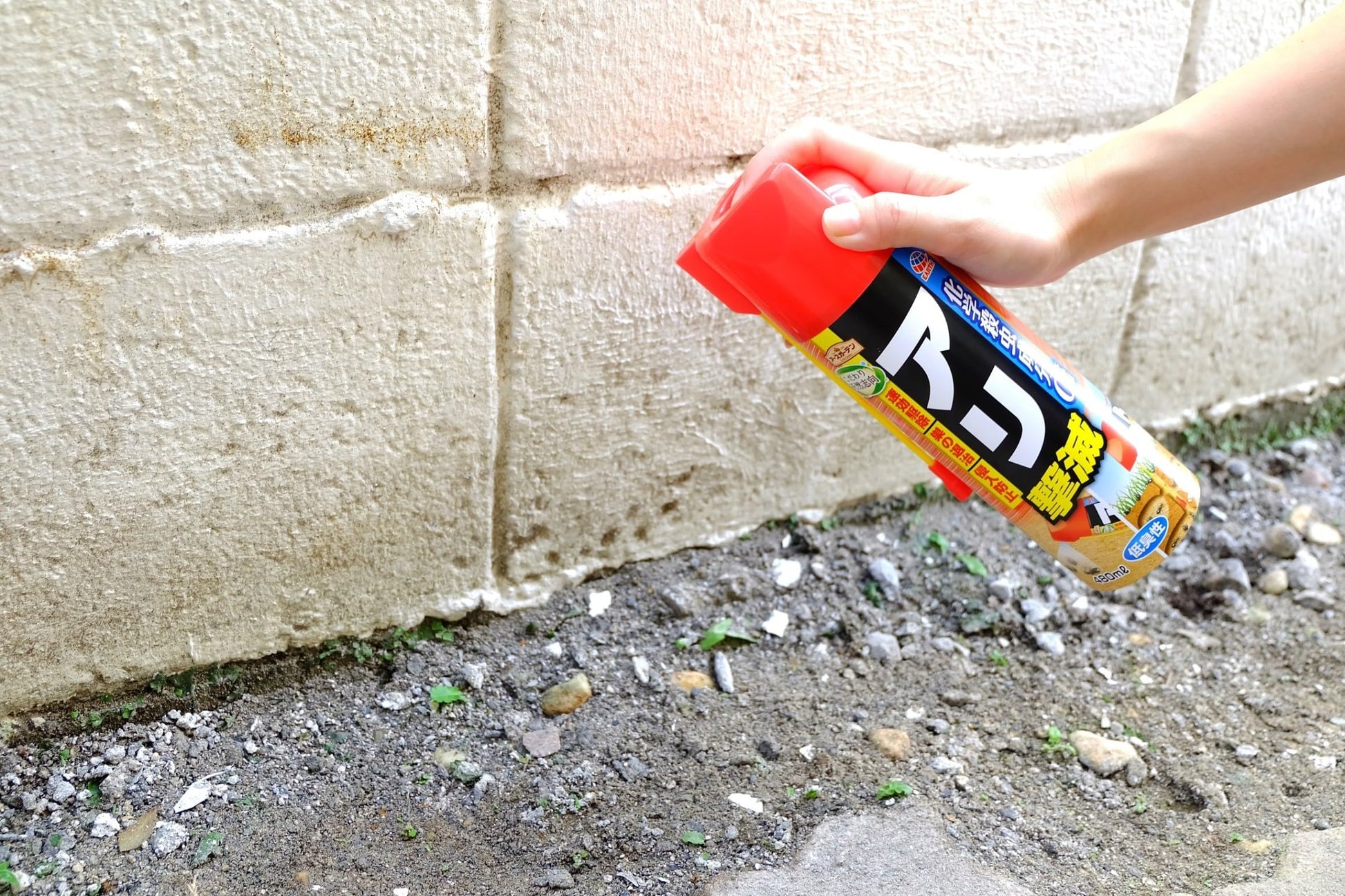 【まとめ買い】アースガーデン　こだわり天然志向　アリ撃滅 容量480ML×20点セット アース製薬 殺虫剤・園芸