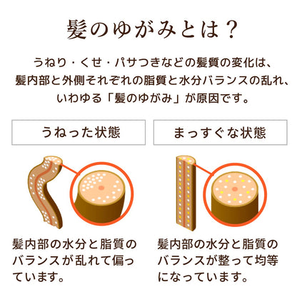【まとめ買い】ディアボーテ　オイルインコンディショナー　リッチ＆リペア　ポンプ 容量500G×12点セット コンディショナー・リンス