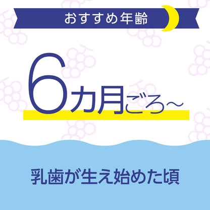 【まとめ買い】モンダミンKid’s フッ素仕上げジェルセット ぶどう味 容量1個×24点セット アース製薬 歯磨き