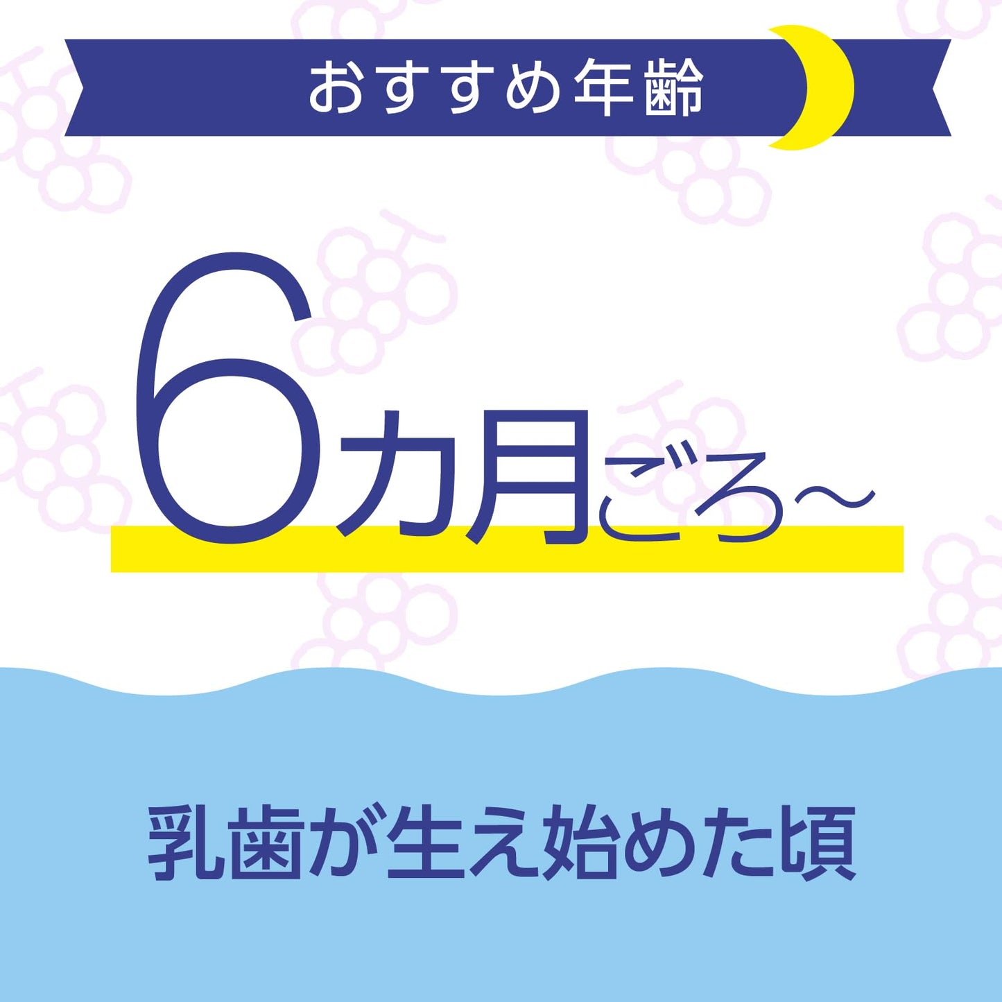 【まとめ買い】モンダミンKid’s フッ素仕上げジェルセット ぶどう味 容量1個×8点セット アース製薬 歯磨き