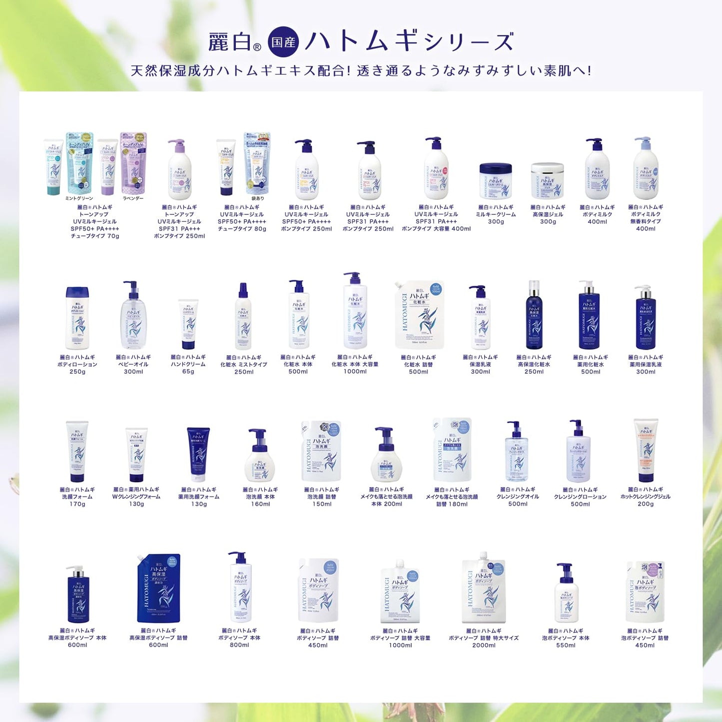 【まとめ買い】麗白 ハトムギ 泡ボディソープ 本体 容量550mL×16点セット 熊野油脂 ボディソープ