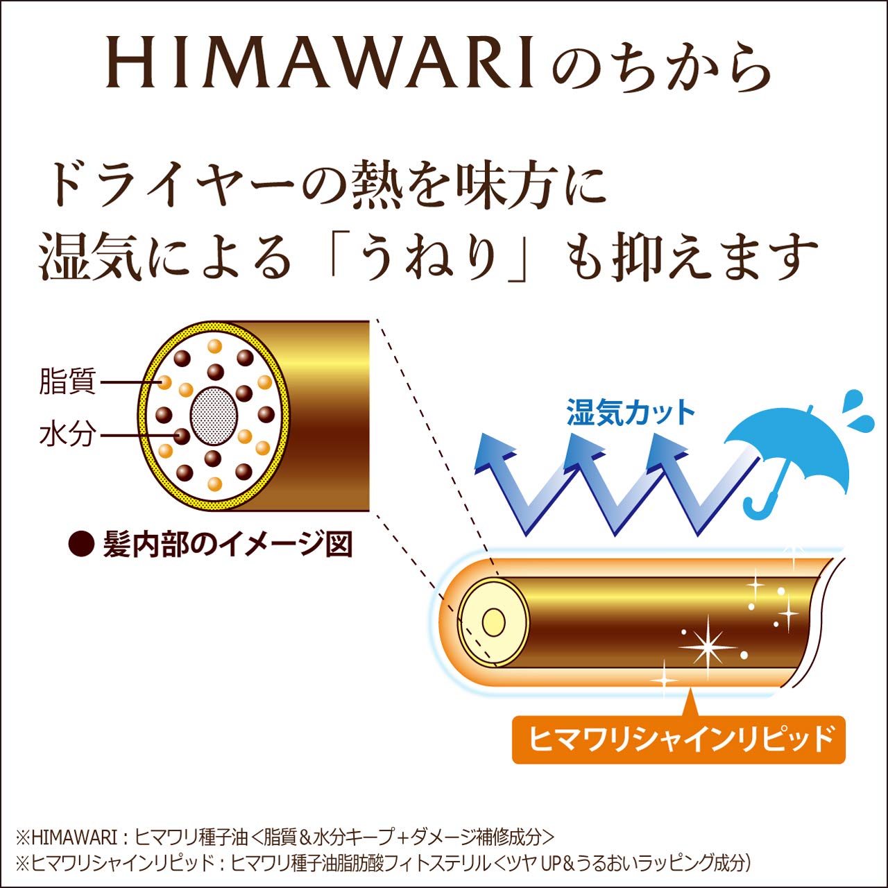 【まとめ買い】ディアボーテプレミアムトリートメントオイル（モイスト） 容量60mL×24点セットクラシエ 美容液
