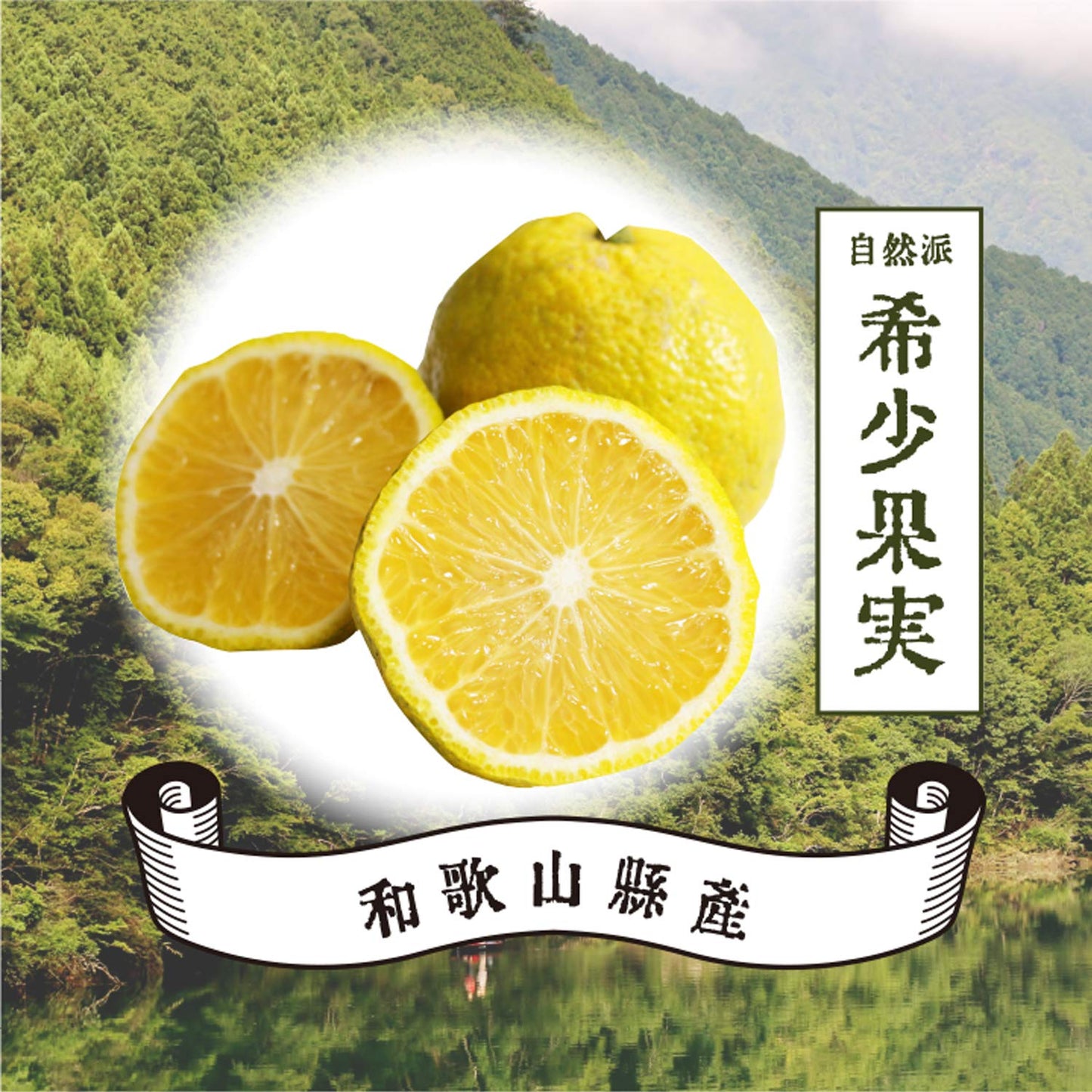 【まとめ買い】ノボピン じゃばら入浴剤 ボトル 500G 容量500G×6点セット 小久保工業所 入浴剤