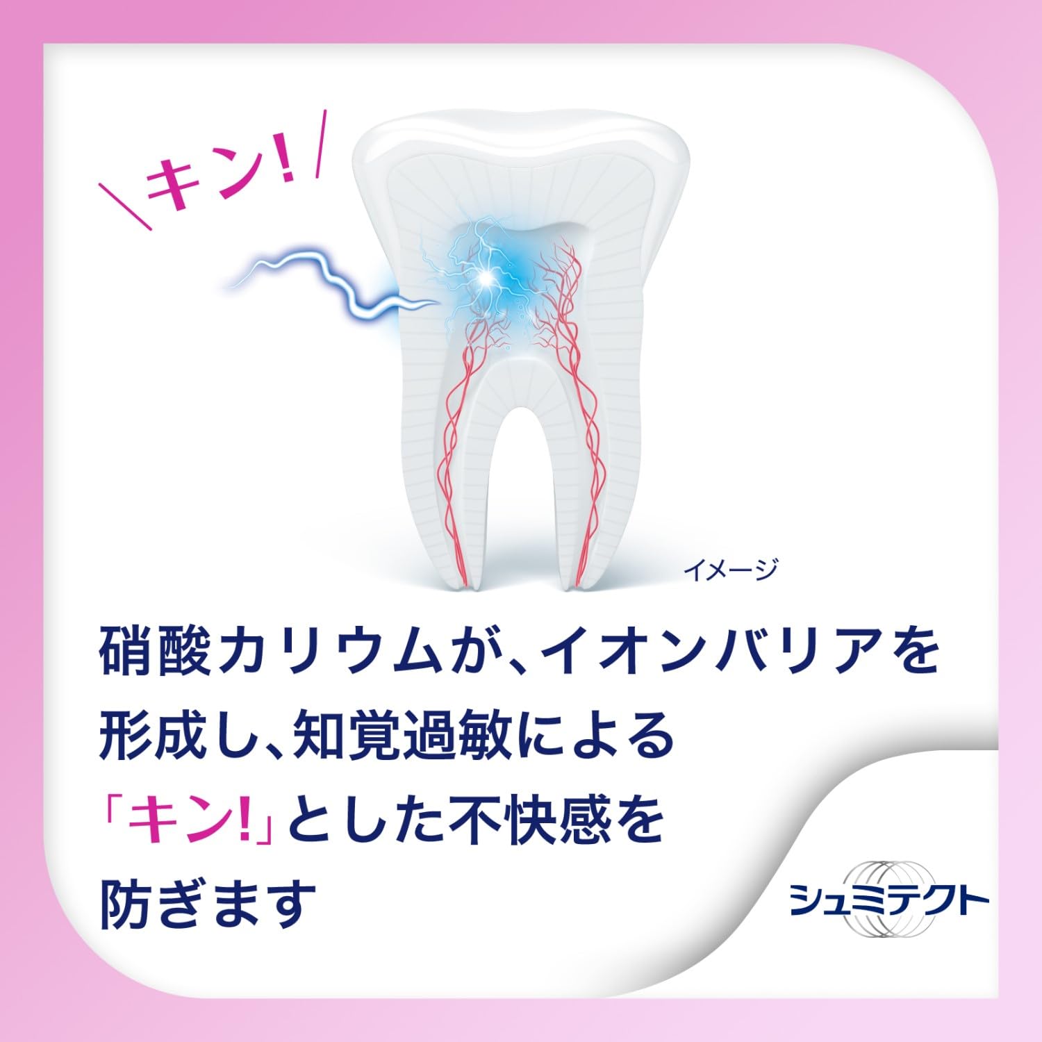 【まとめ買い】シュミテクト 歯周ケア トラベルセット 容量1個×12点セット グラクソスミスクライン 歯ブラシ
