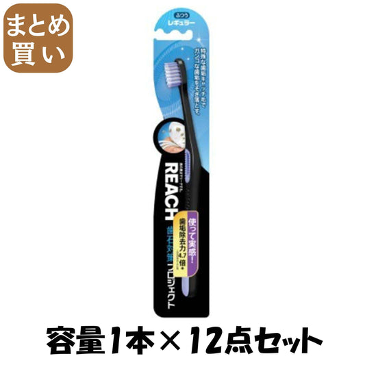 【まとめ買い】リーチ歯石対策プロジェクト レギュラー ふつう 容量1ﾎﾝ×12点セット 銀座ステファニー 歯ブラシ