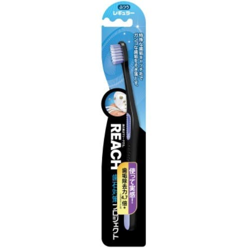 【まとめ買い】リーチ歯石対策プロジェクト レギュラー ふつう 容量1ﾎﾝ×12点セット 銀座ステファニー 歯ブラシ
