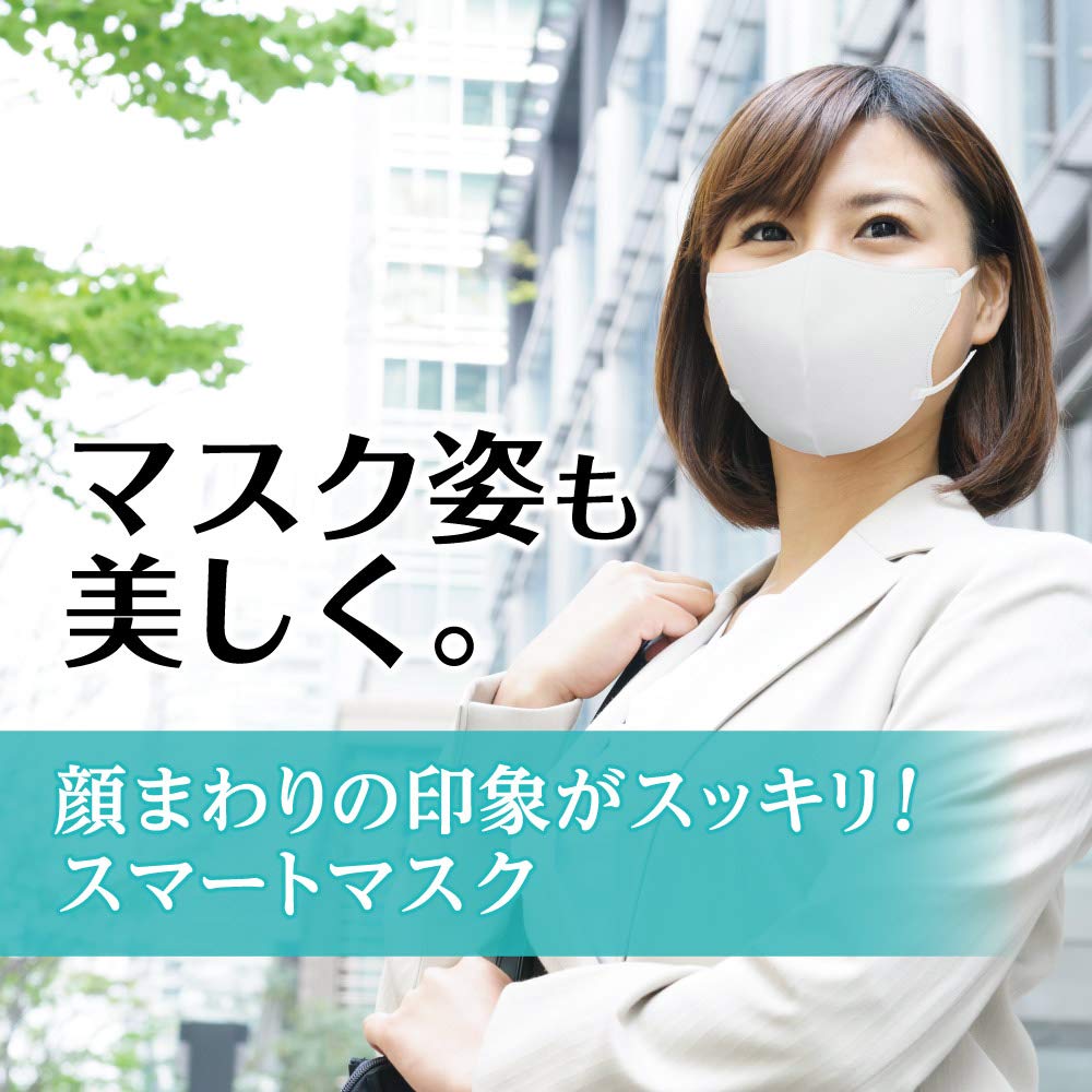 【まとめ買い】ビースタイル 立体タイプ ふつうサイズ プレミアムホワイト5枚入 容量5ﾏｲ×10点セット 白元アース マスク