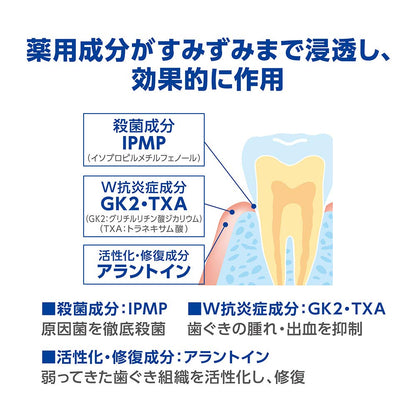 【まとめ買い】デントヘルス 薬用デンタルリンス 450ml 容量450ML×12点セット ライオン マウスウォッシュ