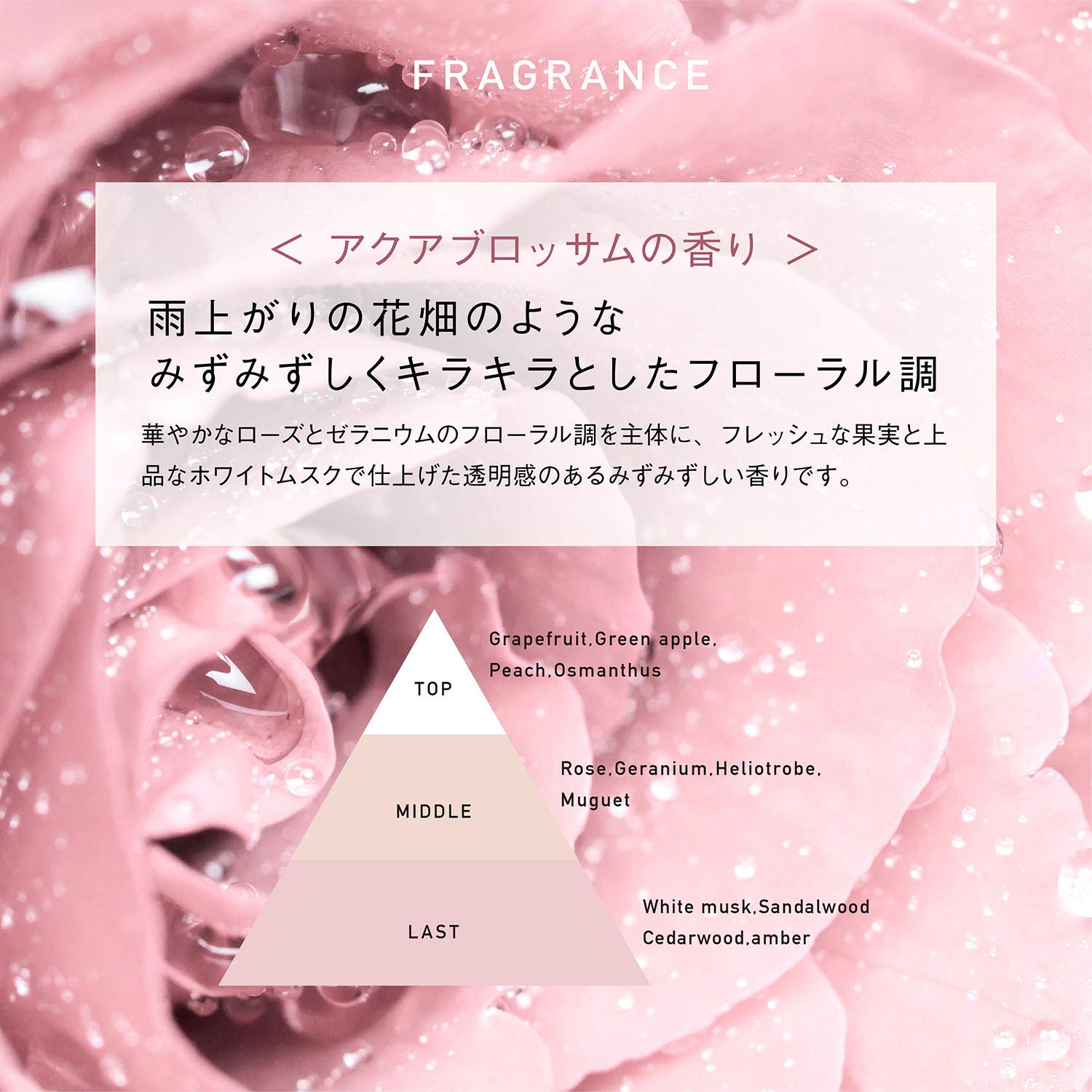 【まとめ買い】ヘアザプロテイン モイストシャンプー レフィル 容量400ML×24点セット コスメテックスローランド シャンプー