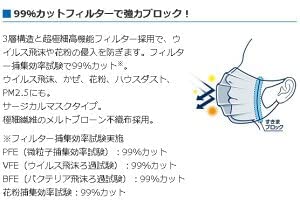 【まとめ買い】ハイパーブロックマスク　ウイルス飛沫ブロック　ふつうサイズ 50枚入 容量50枚×24点セット 大王製紙 マスク