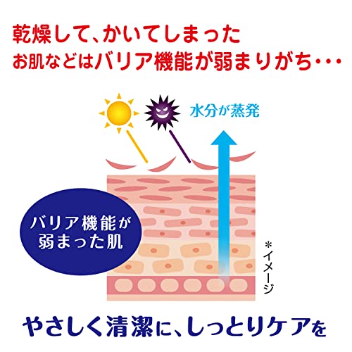 【まとめ買い】薬用ソフレ　清潔スキンケア入浴液　つめかえ用６００ｍｌ 容量600ML×12点セット バスクリン 入浴剤