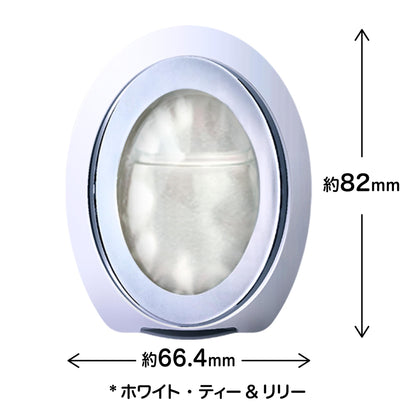 【まとめ買い】ファブリーズＷ消臭　玄関用消臭剤　ホワイト・ティー＆リリー２個パック 容量1コ×12点セットＰ＆Ｇ 芳香剤・部屋用