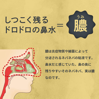 【まとめ買い】チクナイン鼻洗浄器（本体付き）６包 容量6ホウ×20点セット 小林製薬 うがい薬