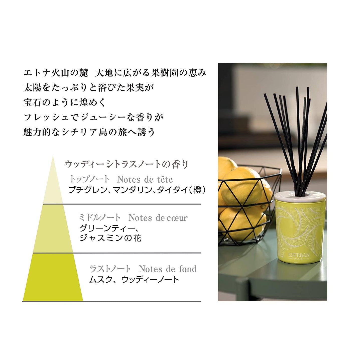 【まとめ買い】テールダグリューム　カーフレグランスリフィル２個入 容量2ｺ×12点セット 日本香堂 芳香剤・車用