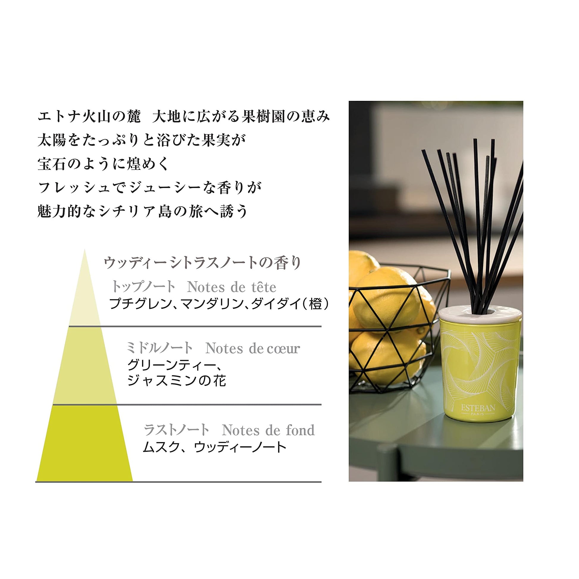【まとめ買い】テールダグリューム　カーフレグランスリフィル２個入 容量2ｺ×12点セット 日本香堂 芳香剤・車用