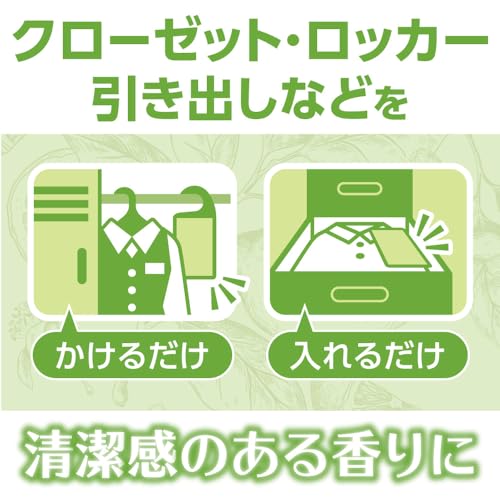 【まとめ買い】スタイルメイト　消臭・ダニよけバッグ　シトラスグリーンティーの香り 容量2ｺ×6点セット白元アース 芳香剤