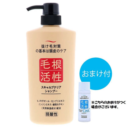 【まとめ買い】スキャルプクリアシャンプー 容量550ML×12点セット ジュン・コスメティック シャンプー