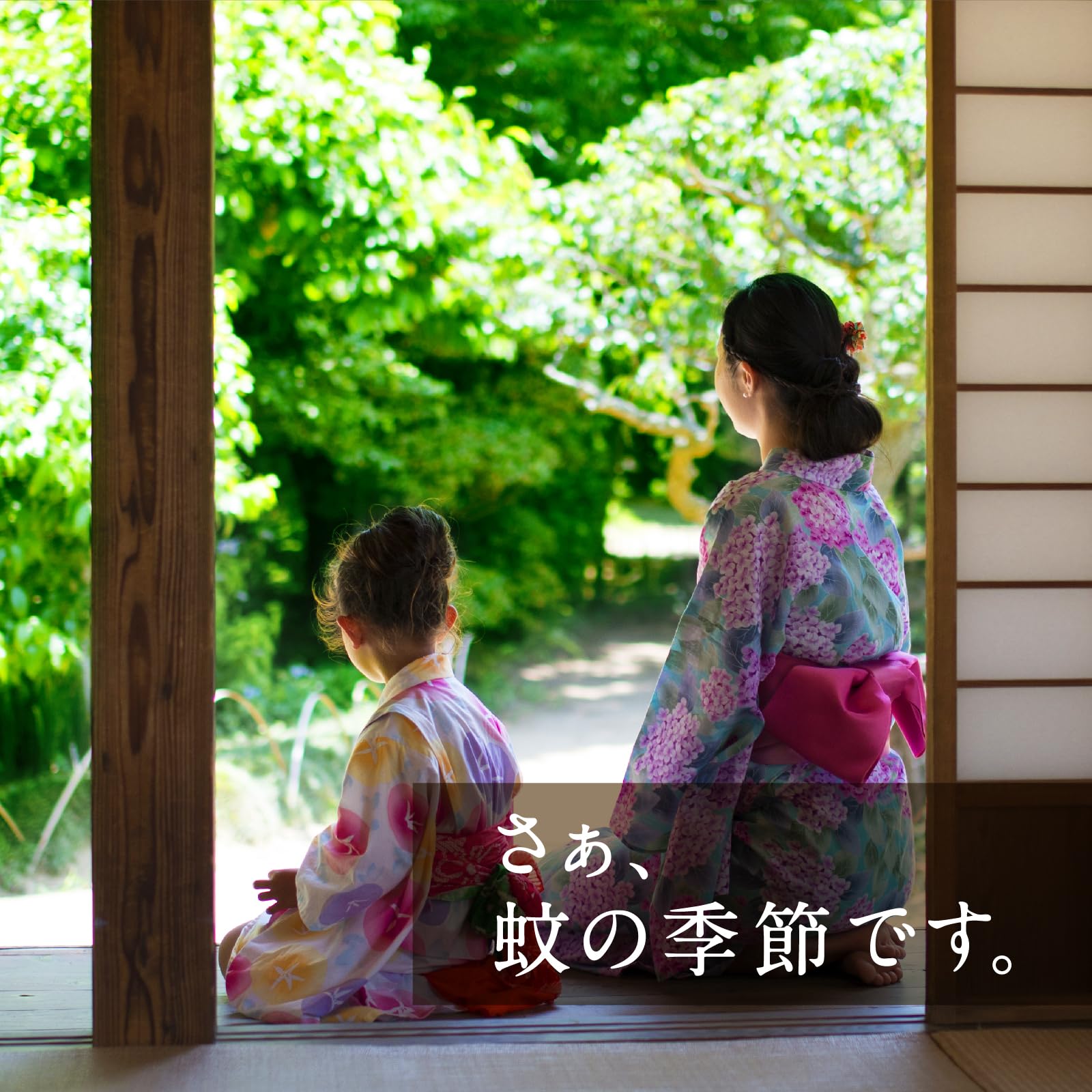 【まとめ買い】どこでもつかえるアースノーマット　１８０日つめかえ 容量1ｺ×24点セットアース製薬 殺虫剤・ハエ・蚊