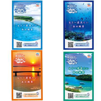 【まとめ買い】バスロマン旅する沖縄 容量12ホウ×12点セットアース製薬 入浴剤