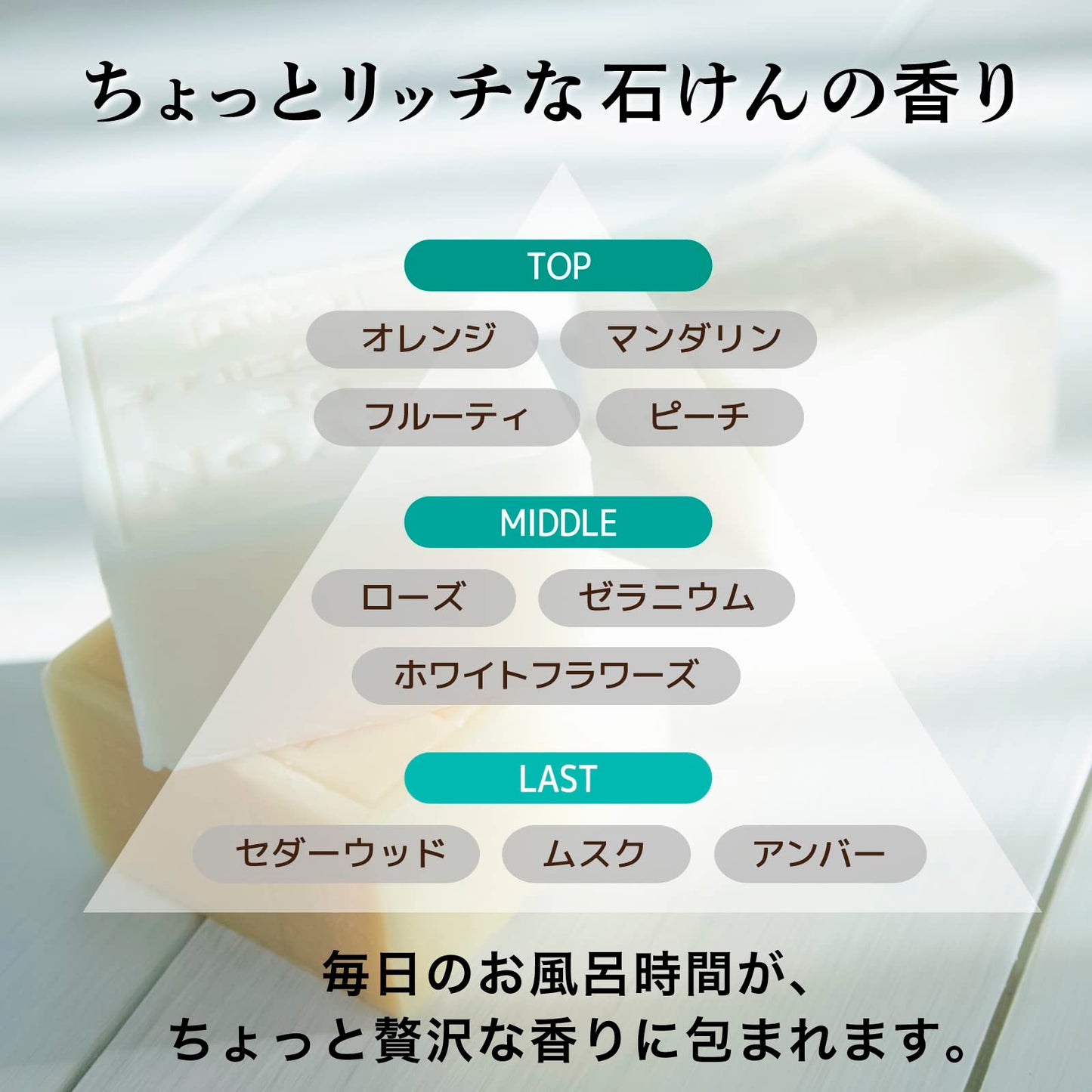 【まとめ買い】Ｔｈｅ　Ｎａｉｖｅ　ボディソープ　液体タイプポンプ 容量500ML×12点セットボディソープ