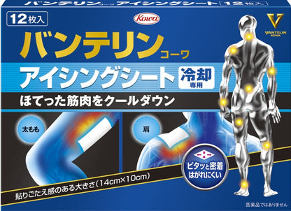 【まとめ買い】バンテリンコーワアイシングシート１２枚 容量12ﾏｲ×20点セット興和 衛生用品