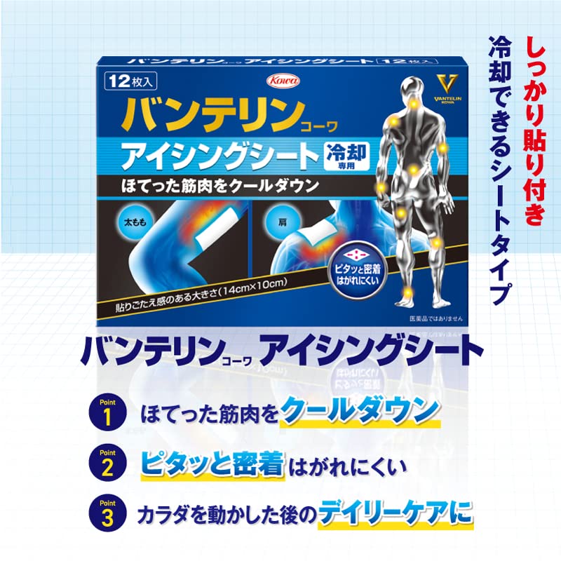 【まとめ買い】バンテリンコーワアイシングシート１２枚 容量12ﾏｲ×20点セット興和 衛生用品