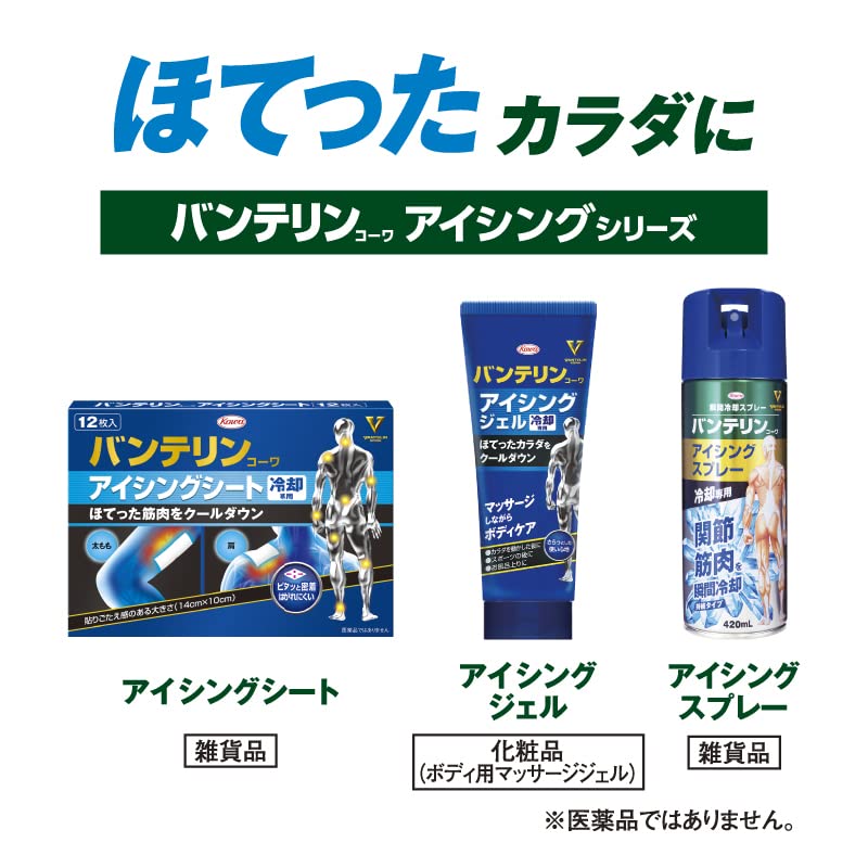 【まとめ買い】バンテリンコーワアイシングシート１２枚 容量12ﾏｲ×20点セット興和 衛生用品