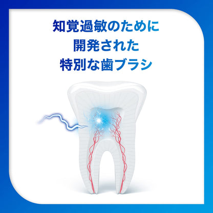 【まとめ買い】シュミテクト　コンプリートワンＥＸハブラシ　レギュラー（ふつう）　１本 容量1ホン×12点セット歯ブラシ