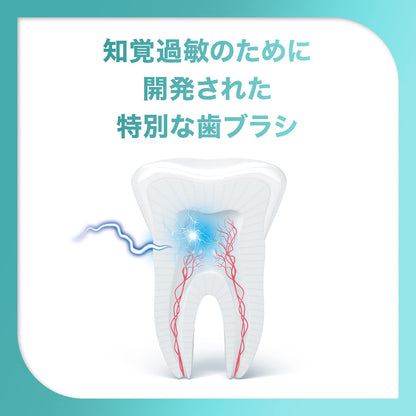 【まとめ買い】シュミテクト　トゥルーホワイトハブラシ　コンパクト（ふつう）　１本 容量1ホン×12点セット歯ブラシ