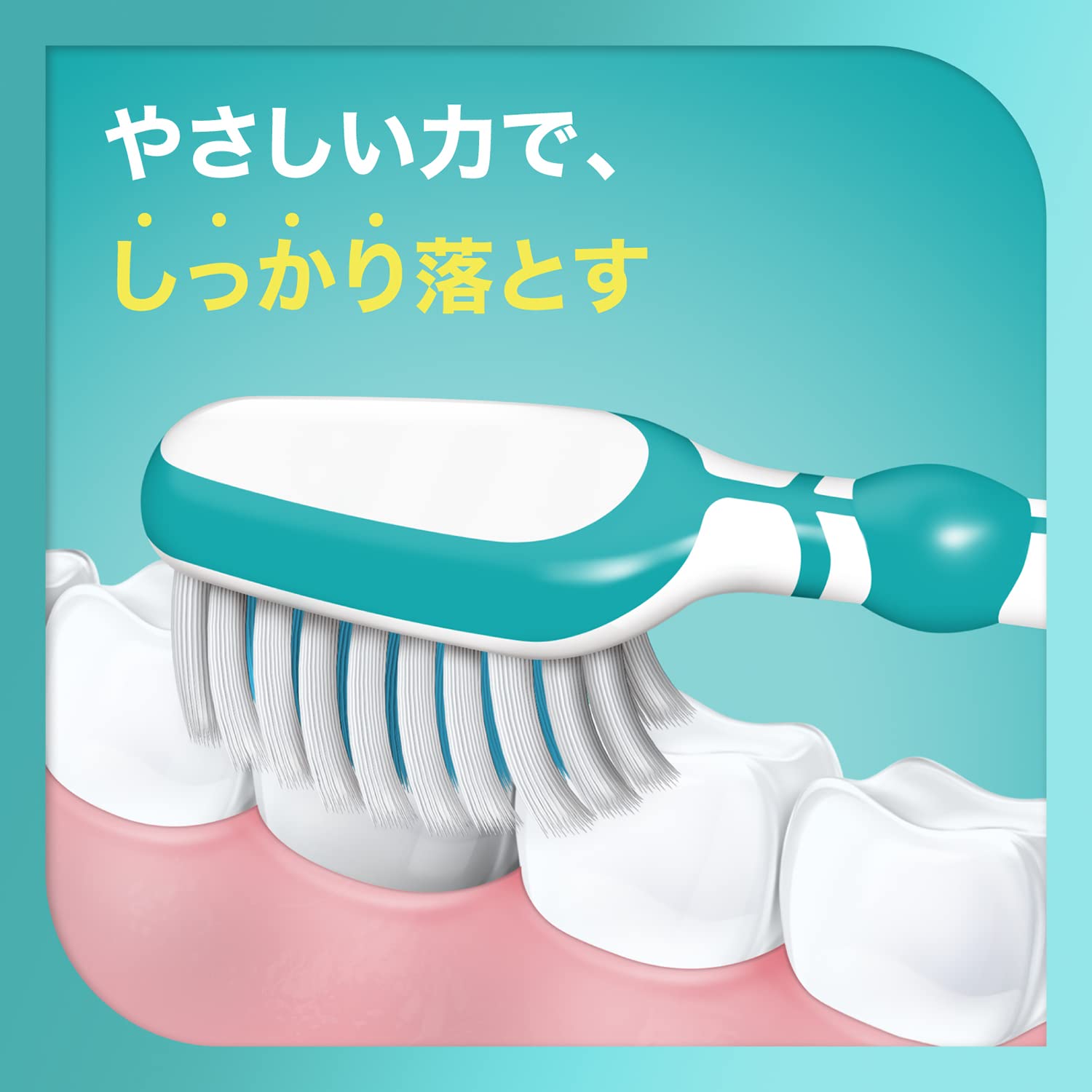 【まとめ買い】シュミテクト　トゥルーホワイトハブラシ　コンパクト（ふつう）　１本 容量1ホン×12点セット歯ブラシ