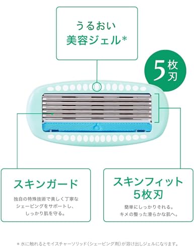 【まとめ買い】ハイドロシルク　敏感肌用　替刃（３コ入） 容量3ｺ×12点セット シック(Schick) 女性用カミソリ