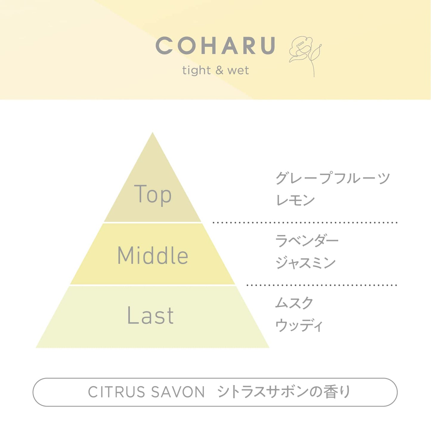 【まとめ買い】ＣＯＨＡＲＵ　スタイリングオイル　＜タイト＆ウェット＞ 容量60ML×3点セット 柳屋本店 スタイリング