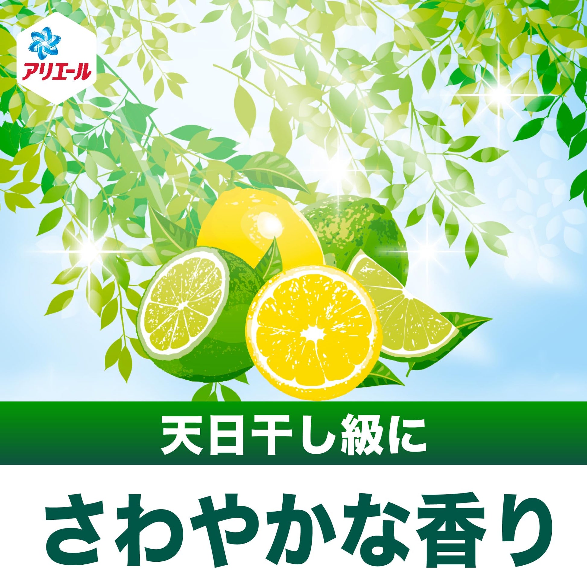 【まとめ買い】アリエールジェル部屋干し用　本体 容量690G×9点セット Ｐ＆Ｇ 衣料用洗剤