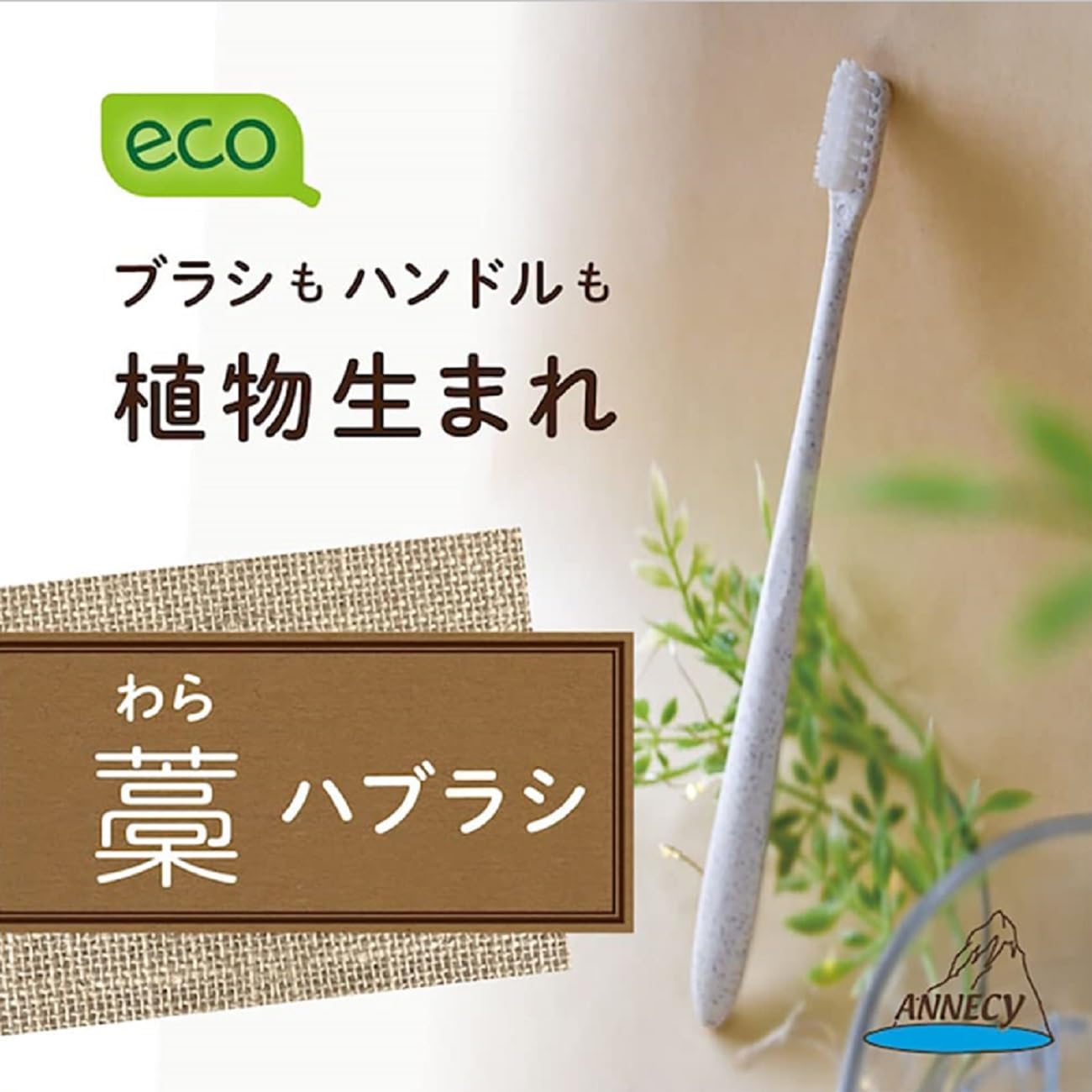 【まとめ買い】わらハブラシ　ＯＢー８１３ 容量1本×12点セット アヌシ 歯ブラシ