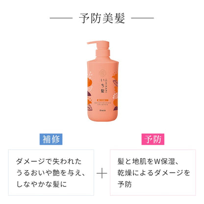 【まとめ買い】いち髪　濃密Ｗ保湿ケアシャンプー　ポンプ 容量480ML×12点セット クラシエ シャンプー