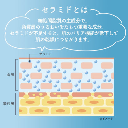 【まとめ買い】ソフティモ　泡洗顔　（セラミド） 容量150ML×24点セット コーセーコスメポート 洗顔・クレンジング