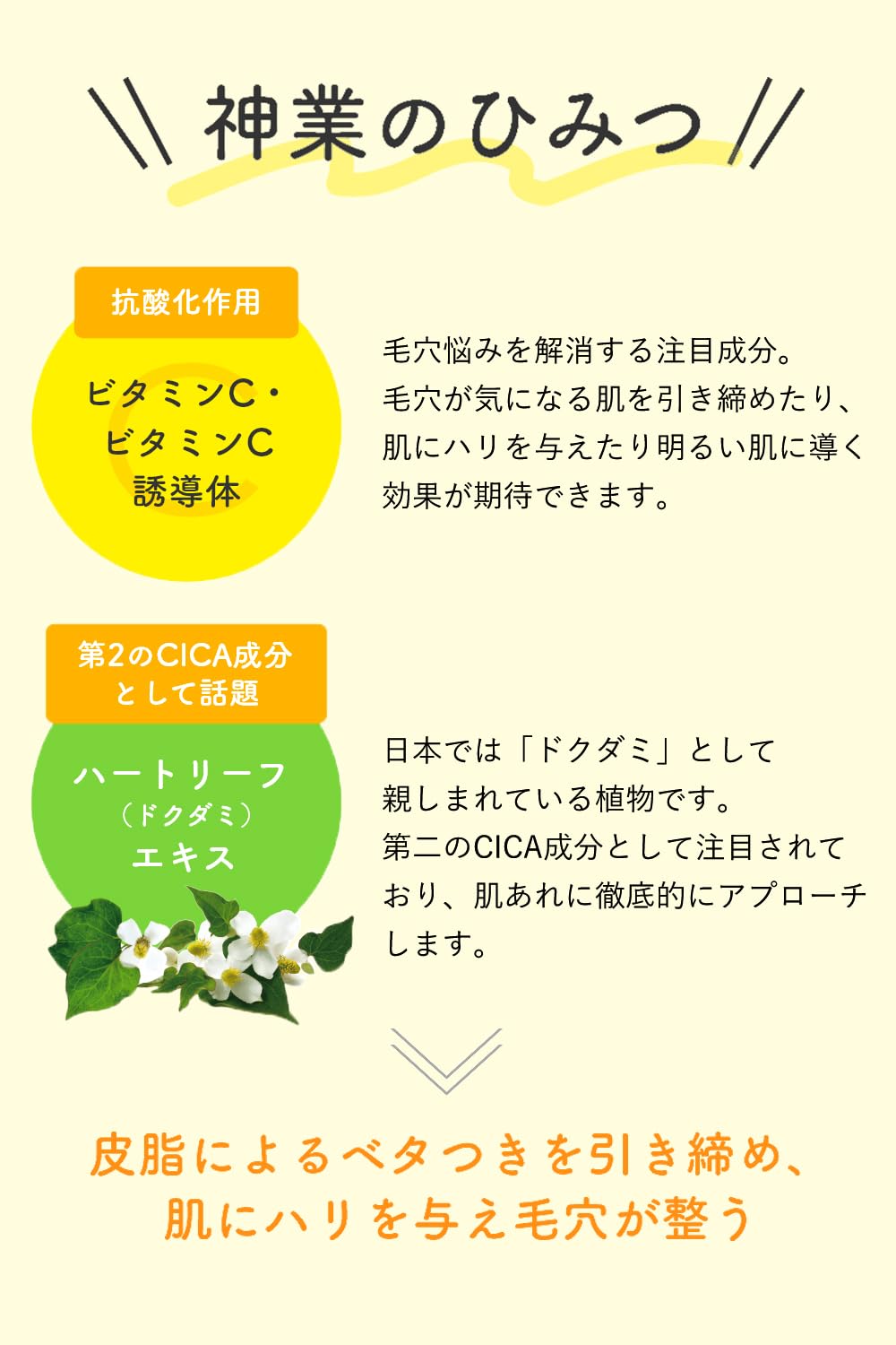 【まとめ買い】ケアナボーテ毛穴肌ひきしめ化粧水 容量300ML×24点セット 明色化粧品 化粧水・ローション