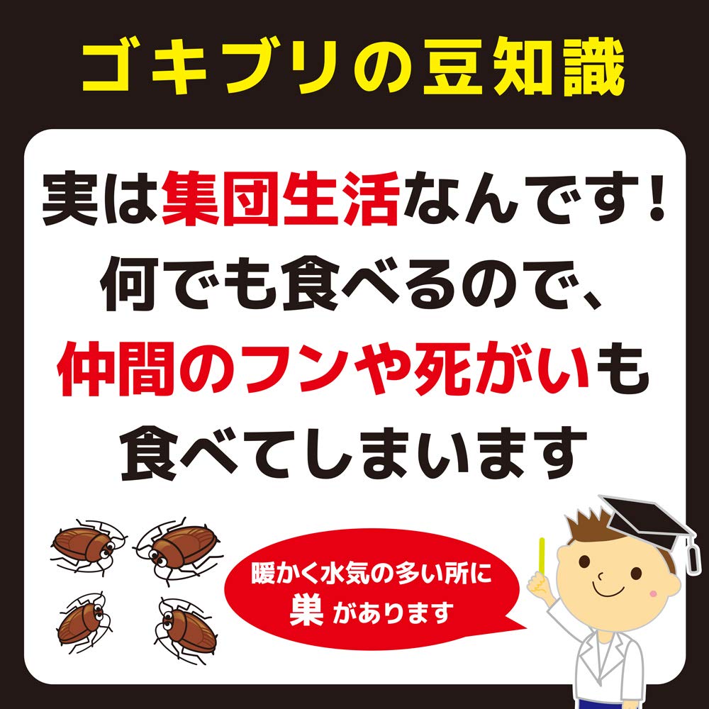 【まとめ買い】コンバット１年用４個入Ｎ 容量4ｺ×10点セット 大日本除虫菊（金鳥） 殺虫剤・ゴキブリ