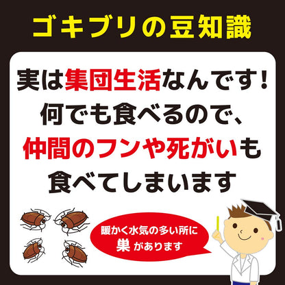 【まとめ買い】コンバットキャップ１年用１２個入 容量12ｺ×10点セット 大日本除虫菊（金鳥） 殺虫剤・ゴキブリ