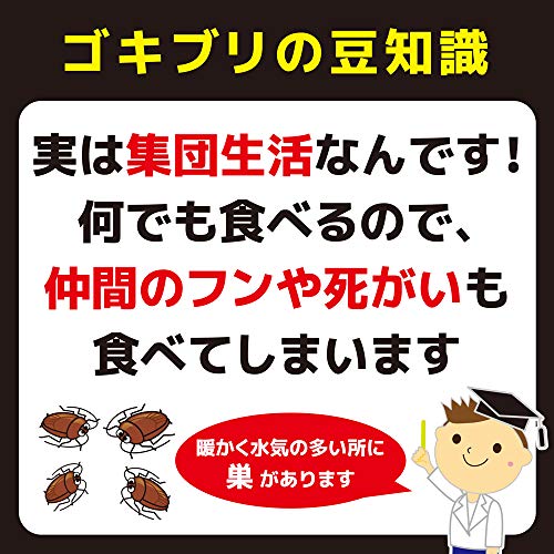 【まとめ買い】コンバットスマートタイプ１年用２０個入Ｎ 容量20ｺ×5点セット 大日本除虫菊（金鳥） 殺虫剤・ゴキブリ