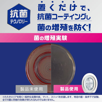 【まとめ買い】ファブリーズＷ消臭　玄関用消臭剤＋抗菌　ホワイトティー＆シトラス 容量7ML×24点セットＰ＆Ｇ 芳香剤・部屋用